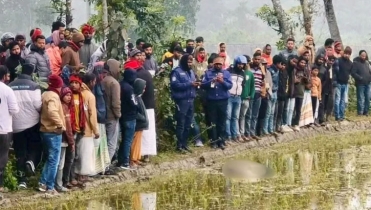 পাবনায় ধানক্ষেতে মিললো দিনমজুরের মরদেহ